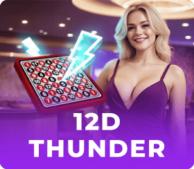 12D Thunder Robintogel